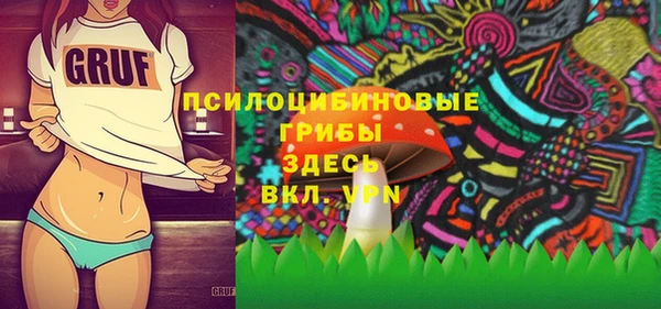 гидра Белокуриха