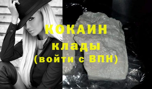 гидра Белокуриха