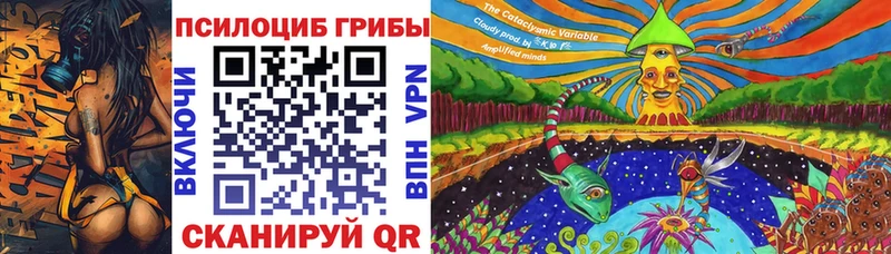 Псилоцибиновые грибы Psilocybe  цена наркотик  Курильск 